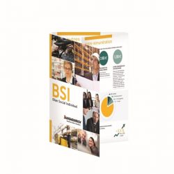 bsi8